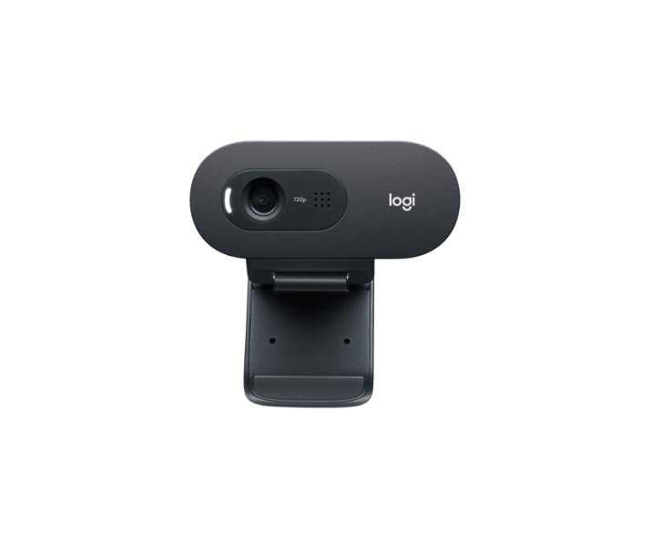 Logitech C505E Webcam